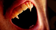 dientes-largos