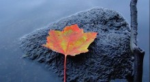 otoño