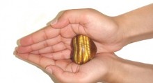 proteccion