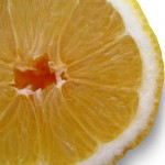 rodaja-limon
