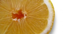 rodaja-limon