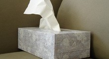 pañuelos-de-papel