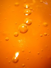 gelatina