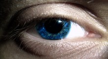 ojo conjuntivitis ojo conjuntivitis