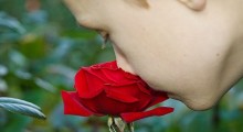 Oler las rosas