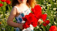 Amapolas Amapolas