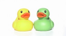 Patitos de goma