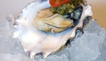 Ostra
