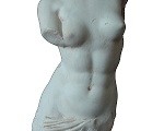 Busto femenino