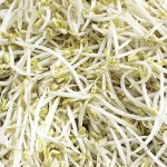 Germinado de soja