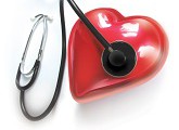 El corazón.