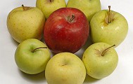 Manzanas.