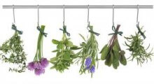flores medicinales secando para ser utilizadas